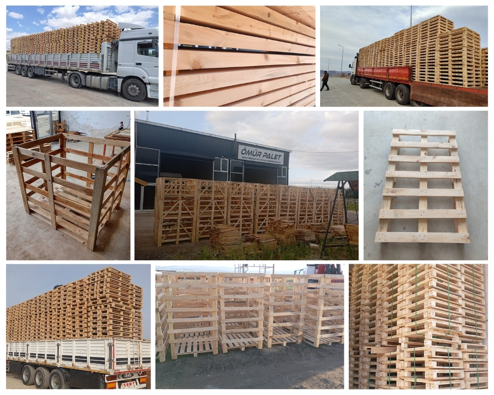 Kapellen Houten Kisten, Europallets Groothandel Kopen